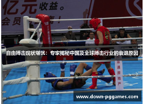 自由搏击现状堪忧：专家揭秘中国及全球搏击行业的衰退原因