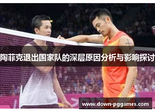 陶菲克退出国家队的深层原因分析与影响探讨