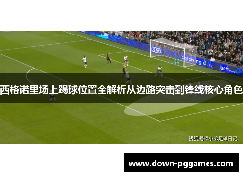 西格诺里场上踢球位置全解析从边路突击到锋线核心角色