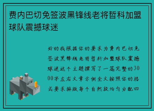 费内巴切免签波黑锋线老将哲科加盟球队震撼球迷